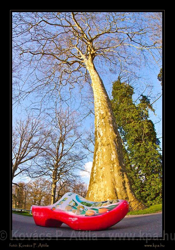 Keukenhof Hollandia 019.jpg